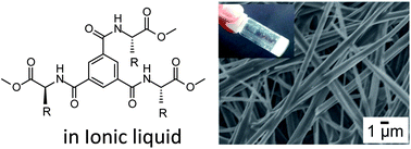 Graphical abstract: Supramolecular gelators based on benzenetricarboxamides for ionic liquids