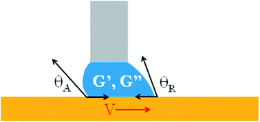 Graphical abstract: Dynamic interfacial behavior of viscoelastic aqueous hyaluronic acid: effects of molecular weight, concentration and interfacial velocity