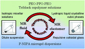 Graphical abstract: Thermoresponsive polymer-based magneto-rheological (MR) composites as a bridge between MR fluids and MR elastomers
