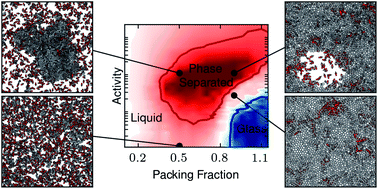 Graphical abstract: Freezing and phase separation of self-propelled disks