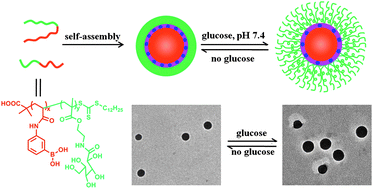 Graphical abstract: Phenylboronate-diol crosslinked glycopolymeric nanocarriers for insulin delivery at physiological pH