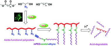 Graphical abstract: Lipase-catalyzed synthesis of azido-functionalized aliphatic polyesters towards acid-degradable amphiphilic graft copolymers
