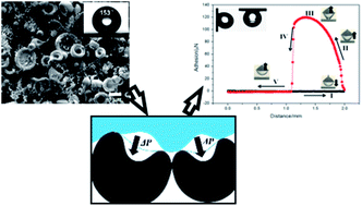 Graphical abstract: A novel fluorinated polyimide surface with petal effect produced by electrospinning