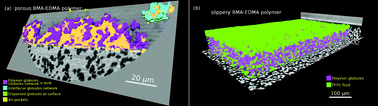 Graphical abstract: Direct three-dimensional imaging of polymer–water interfaces by nanoscale hard X-ray phase tomography