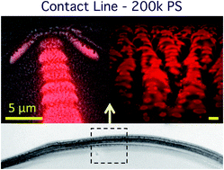 Graphical abstract: Phase separation and the ‘coffee-ring’ effect in polymer–nanocrystal mixtures