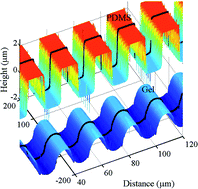 Graphical abstract: Flattening of a patterned compliant solid by surface stress