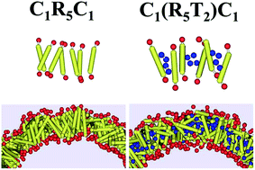 Graphical abstract: Self-assembled polymersomes formed by symmetric, asymmetric and side-chain-tethered coil–rod–coil triblock copolymers