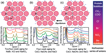 Graphical abstract: Specific ion effects induced by mono-valent salts in like charged aggregates in water