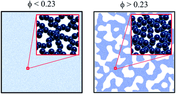 Graphical abstract: Homogeneous percolation versus arrested phase separation in attractively-driven nanoemulsion colloidal gels