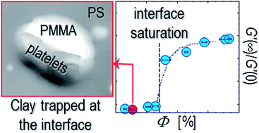 Graphical abstract: Assembly of plate-like nanoparticles in immiscible polymer blends – effect of the presence of a preferred liquid–liquid interface