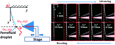 Graphical abstract: Attachment/detachment hysteresis of fiber-based magnetic grabbers