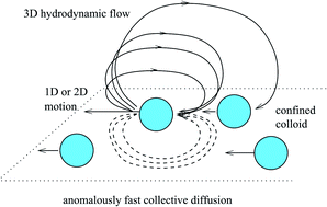 Graphical abstract: Hydrodynamic interactions induce anomalous diffusion under partial confinement
