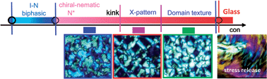 Graphical abstract: Glass transition of repulsive charged rods (fd-viruses)