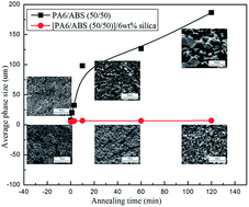 Graphical abstract: Suppression of phase coarsening in immiscible, co-continuous polymer blends under high temperature quiescent annealing