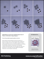 Graphical abstract: Back cover