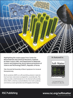 Graphical abstract: Back cover