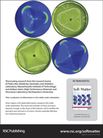 Graphical abstract: Back cover
