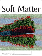 Graphical abstract: Inside front cover