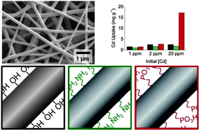 Graphical abstract: High surface area mesoporous titanium–zirconium oxide nanofibrous web: a heavy metal ion adsorbent