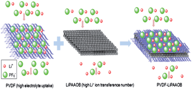 Graphical abstract: A trilayer poly(vinylidene fluoride)/polyborate/poly(vinylidene fluoride) gel polymer electrolyte with good performance for lithium ion batteries