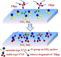 Graphical abstract: Multiple adsorption of tributyl phosphate molecule at the dyed-TiO2/electrolyte interface to suppress the charge recombination in dye-sensitized solar cell