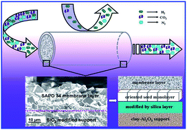 Graphical abstract: Highly oriented improved SAPO 34 membrane on low cost support for hydrogen gas separation