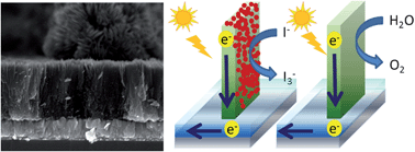 Graphical abstract: Chemical bath deposition of vertically aligned TiO2 nanoplatelet arrays for solar energy conversion applications