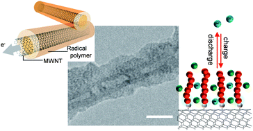 Graphical abstract: Robust and efficient charge storage by uniform grafting of TEMPO radical polymer around multi-walled carbon nanotubes