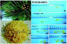 Graphical abstract: Highly recoverable rosin-based shape memory polyurethanes