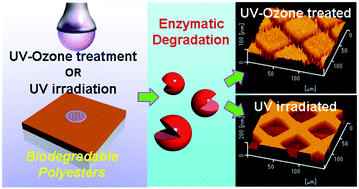 Graphical abstract: Tuning the enzymatic hydrolysis of biodegradable polyesters and its application to surface patterning