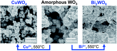 Graphical abstract: Synthesis and characterization of high surface area CuWO4 and Bi2WO6 electrodes for use as photoanodes for solar water oxidation