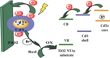 Graphical abstract: A novel method for the preparation of a photocorrosion stable core/shell CdTe/CdS quantum dot TiO2 nanotube array photoelectrode demonstrating an AM 1.5G photoconversion efficiency of 6.12%