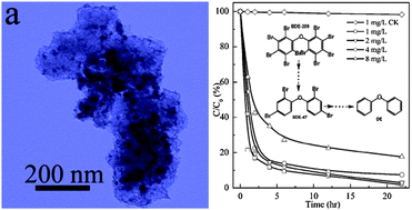 Graphical abstract: One pot synthesis of ultrathin boron nitride nanosheet-supported nanoscale zerovalent iron for rapid debromination of polybrominated diphenyl ethers