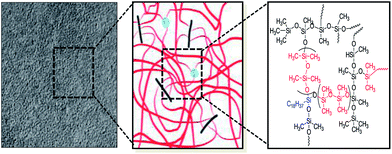 Graphical abstract: Preparation of bifunctional poly(dimethylsiloxane) membrane by dual X-linking