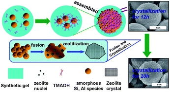 Graphical abstract: Novel selective catalyst derived from uniform clustered NaY zeolite microspheres