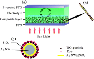 Graphical abstract: Enhancement of properties of dye-sensitized solar cells by surface plasmon resonance of Ag nanowire core–shell structure in TiO2 films