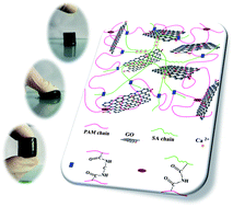 Graphical abstract: Mechanically strong graphene oxide/sodium alginate/polyacrylamide nanocomposite hydrogel with improved dye adsorption capacity