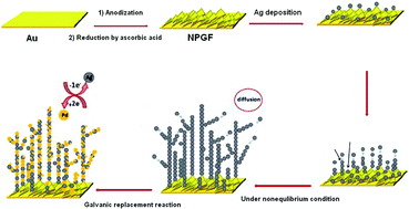 Graphical abstract: Electrocatalytic oxidation of ethanol at Pd/Ag nanodendrites prepared via low support electrodeposition and galvanic replacement