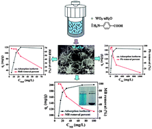 Graphical abstract: Hydrothermal fabrication of W18O49 nanowire networks with superior performance for water treatment