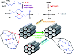 Graphical abstract: Highly ordered metal ion imprinted mesoporous silica particles exhibiting specific recognition and fast adsorption kinetics