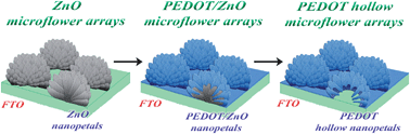 Graphical abstract: Hollow microflower arrays of PEDOT and their application for the counter electrode of a dye-sensitized solar cell