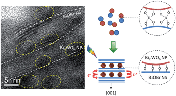 Graphical abstract: Titanium alkoxide induced BiOBr–Bi2WO6 mesoporous nanosheet composites with much enhanced photocatalytic activity