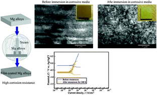 Graphical abstract: Corrosion resistance of Mg–Al layered double hydroxide container-containing magnesium hydroxide films formed directly on magnesium alloy by chemical-free steam coating