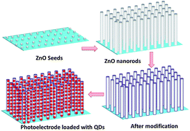 Graphical abstract: Constructing ZnO nanorod array photoelectrodes for highly efficient quantum dot sensitized solar cells