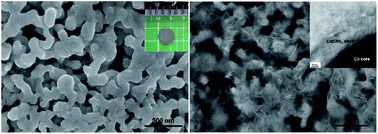 Graphical abstract: Nanoporous cobalt foam and a Co/Co(OH)2 core–shell structure for electrochemical applications