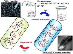 Graphical abstract: Bioinspired supramolecular fibers for mercury ion adsorption