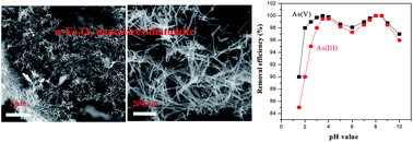Graphical abstract: α-Fe2O3 nanowires deposited diatomite: highly efficient absorbents for the removal of arsenic