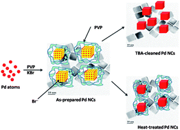 Graphical abstract: Removal of surfactant and capping agent from Pd nanocubes (Pd-NCs) using tert-butylamine: its effect on electrochemical characteristics