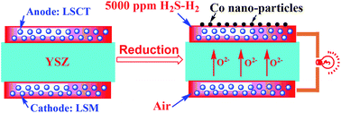 Graphical abstract: Cobalt doped LaSrTiO3−δ as an anode catalyst: effect of Co nanoparticle precipitation on SOFCs operating on H2S-containing hydrogen