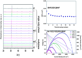 Graphical abstract: BaNb0.05Fe0.95O3−δ as a new oxygen reduction electrocatalyst for intermediate temperature solid oxide fuel cells